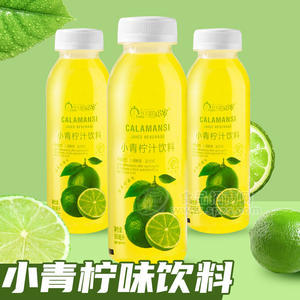 ǵʮС֭300ml